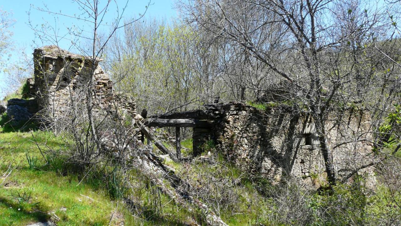 El Huerto De Leon Pradena del Rincon Exterior foto
