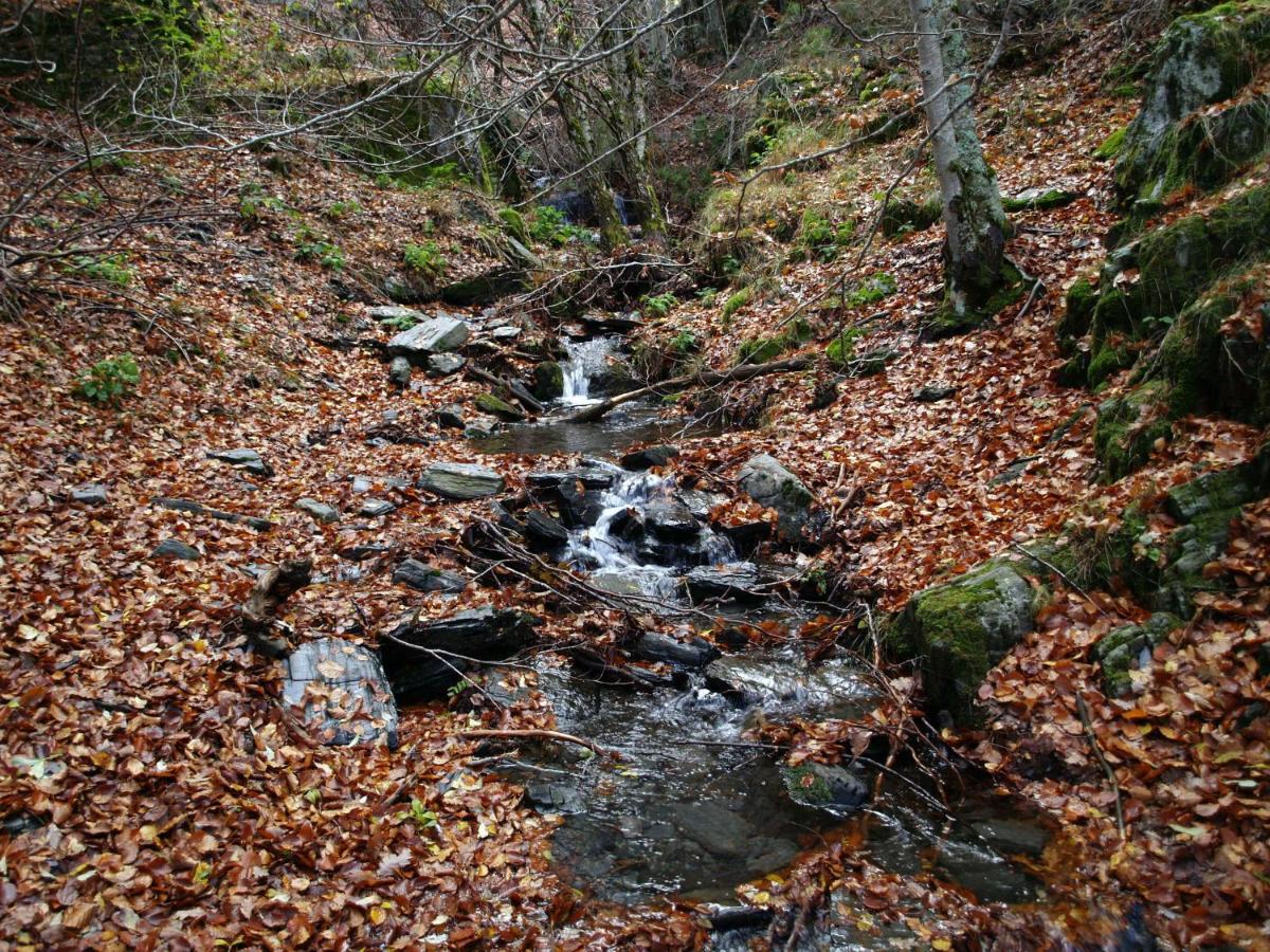 El Huerto De Leon Pradena del Rincon Exterior foto